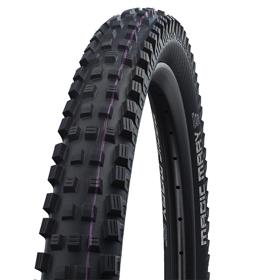 29''x2.50, Folding, Tubeless Ready, Addix Ultrasoft, Black