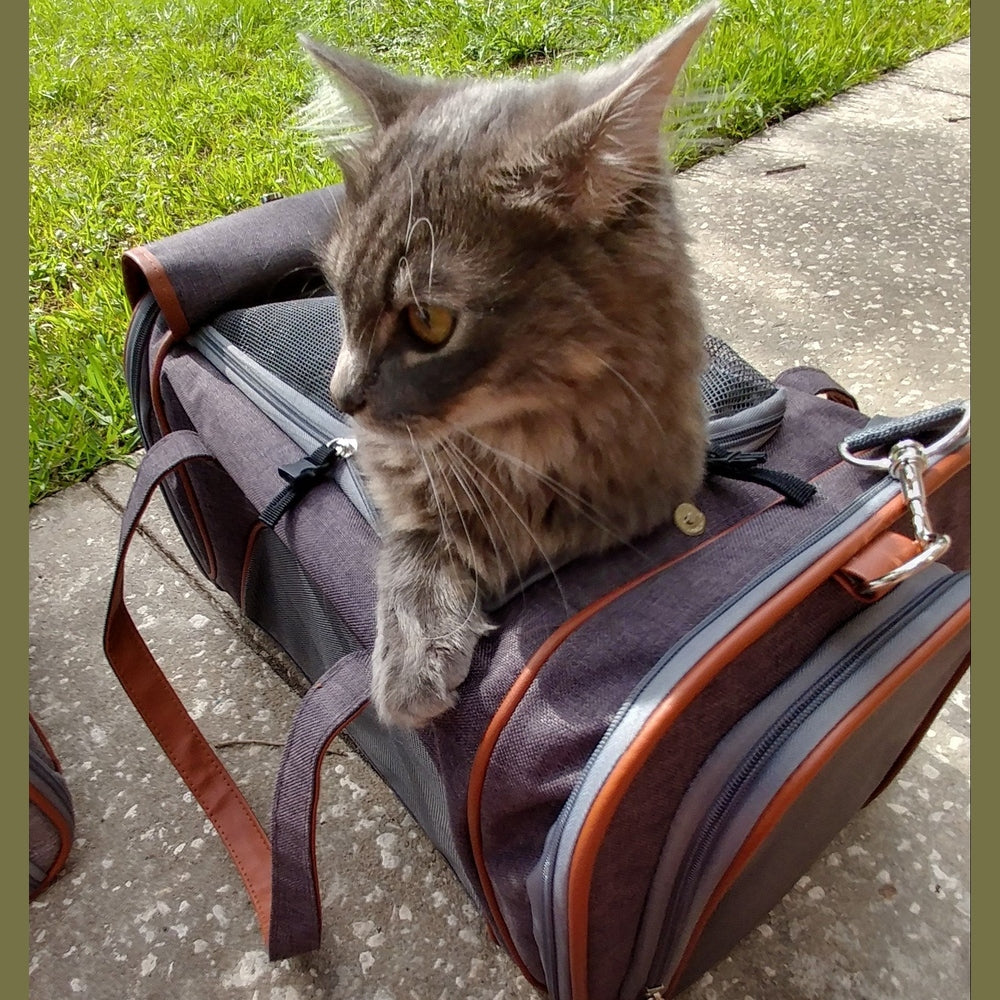 Mr. Peanut's Gold Series Standard Size Airline Compliant Pet Carrier