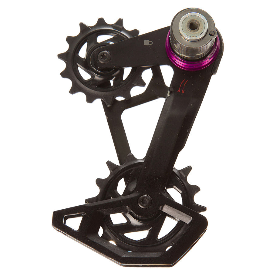 SRAM GX Eagle T-Type Cage Assembly