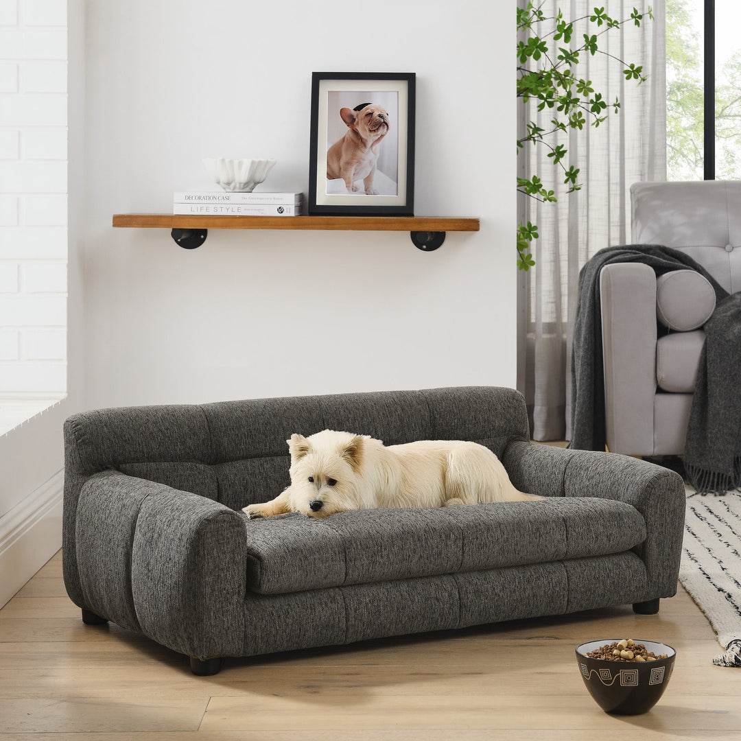 Modern Dark Gray Pet Sofa with Backrest and Armrests