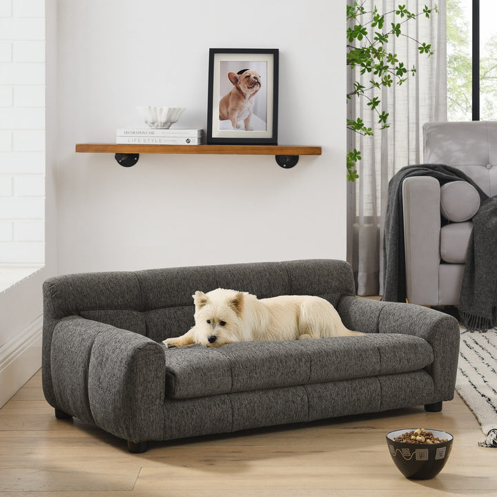Modern Dark Gray Pet Sofa with Backrest and Armrests