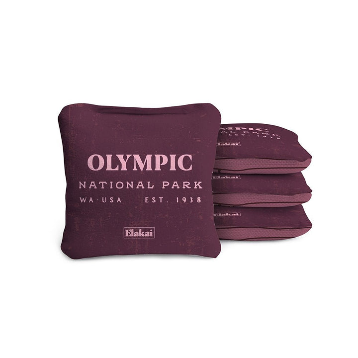 4-in Travel Dual-Sided Cornhole Bags | National Parks Collection