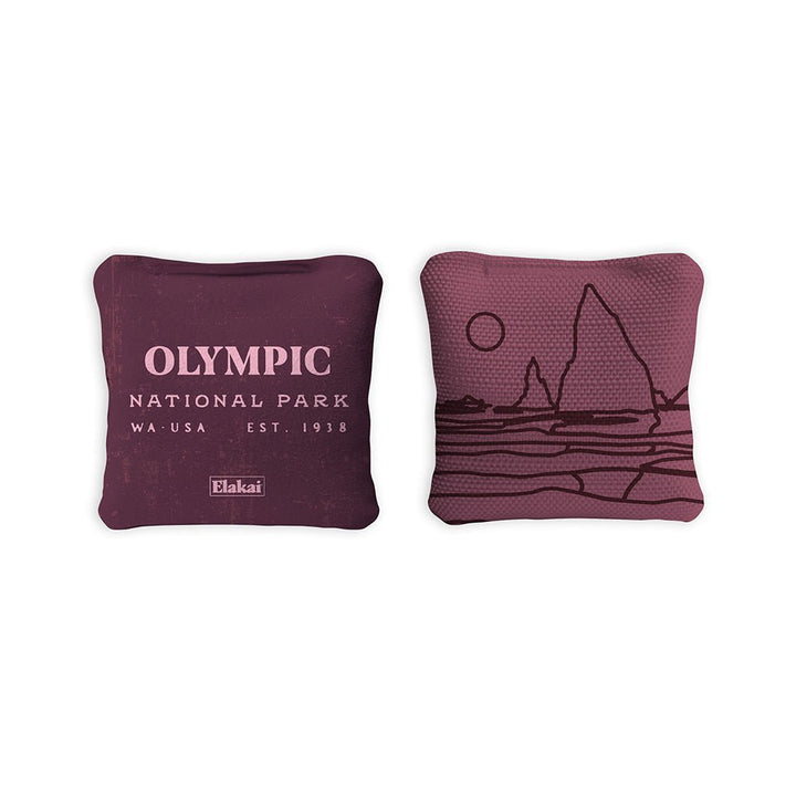 4-in Travel Dual-Sided Cornhole Bags | National Parks Collection