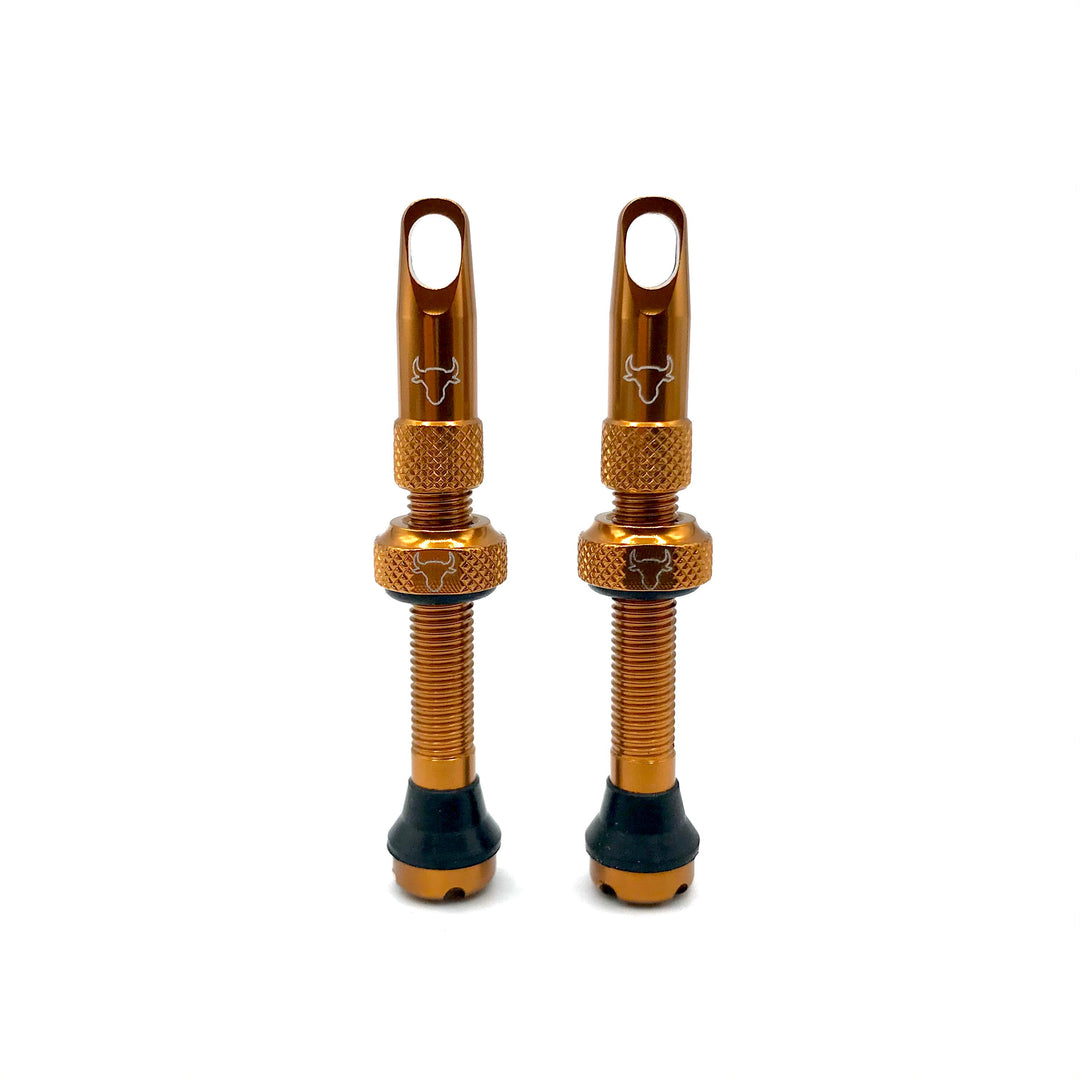 Hold Fast 42mm Insert Compatible Tubeless Valves in 16 Colors