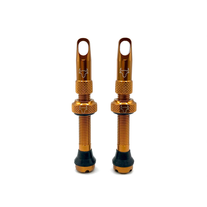 Hold Fast 42mm Insert Compatible Tubeless Valves in 16 Colors