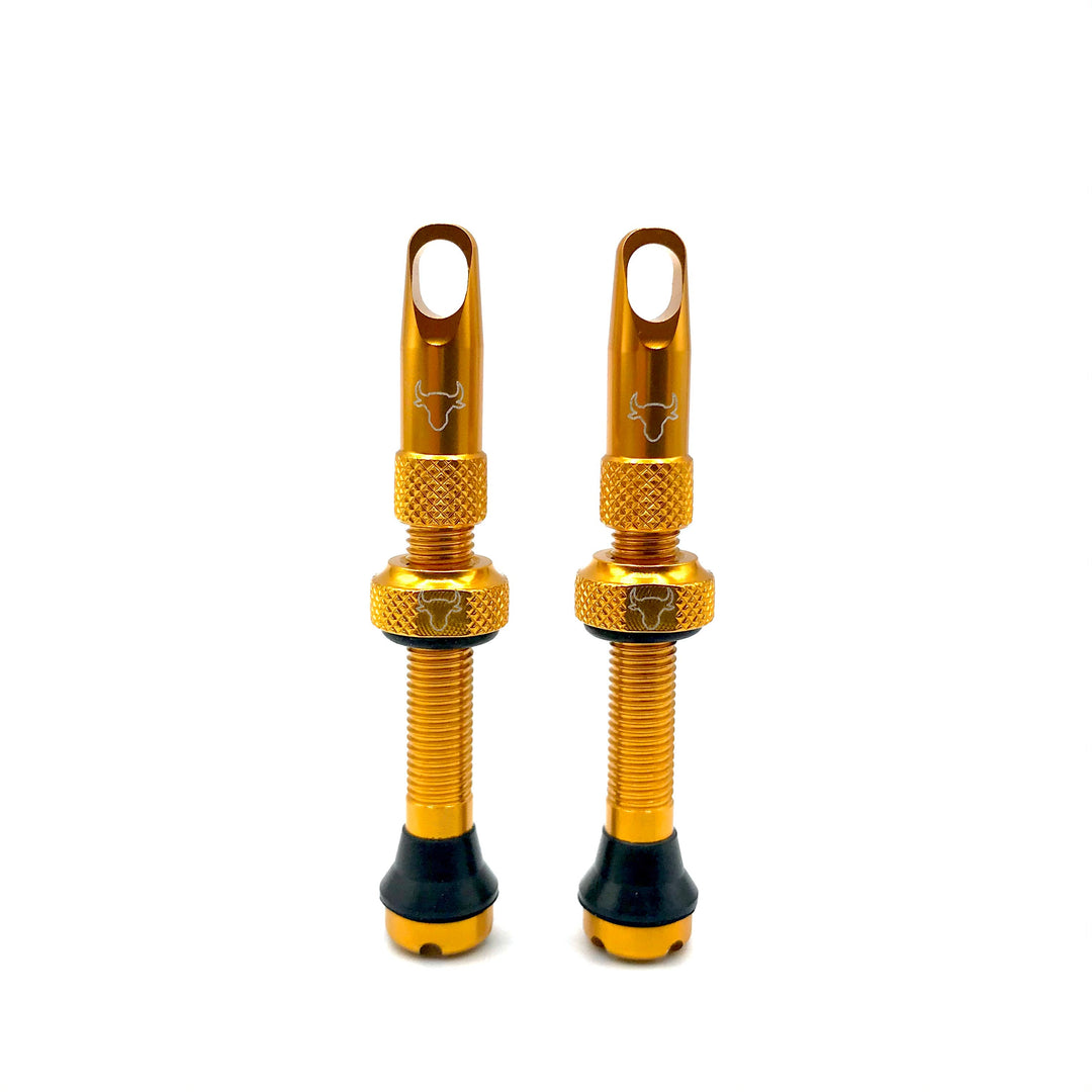 Hold Fast 42mm Insert Compatible Tubeless Valves in 16 Colors