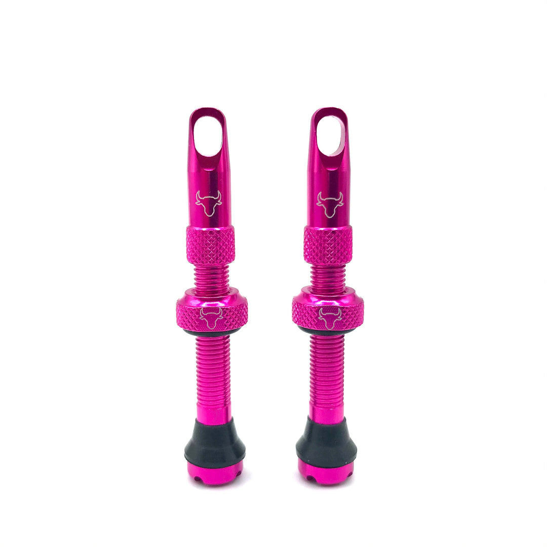 Hold Fast 42mm Insert Compatible Tubeless Valves in 16 Colors