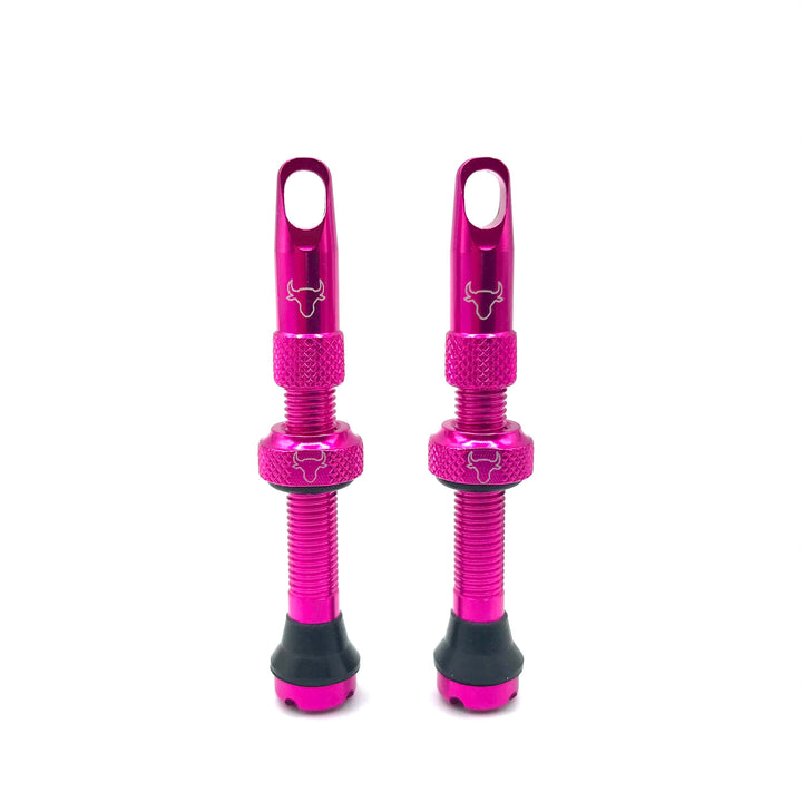 Hold Fast 42mm Insert Compatible Tubeless Valves in 16 Colors