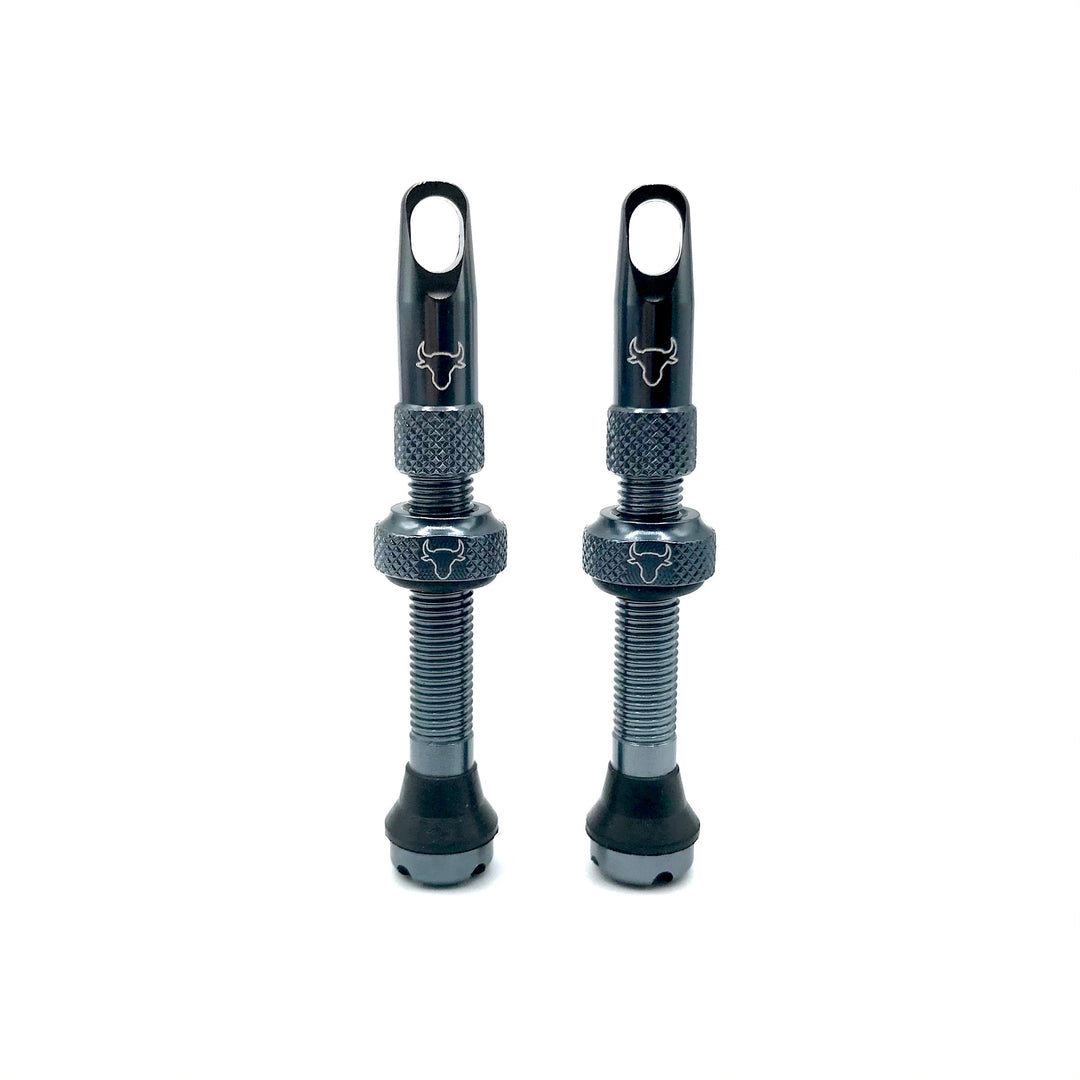 Hold Fast 42mm Insert Compatible Tubeless Valves in 16 Colors