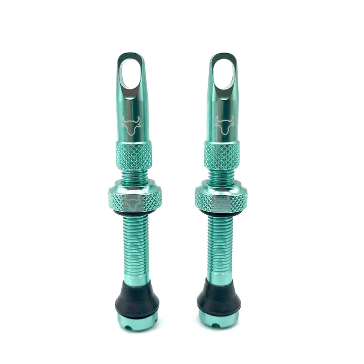 Hold Fast 42mm Insert Compatible Tubeless Valves in 16 Colors