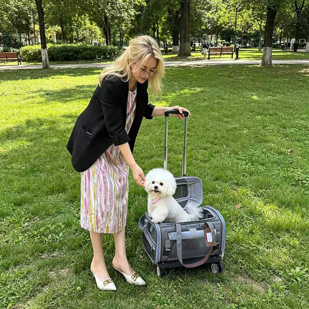 Mr. Peanut's Gold Series Mini Size Airline Compliant Expandable Pet Carrier