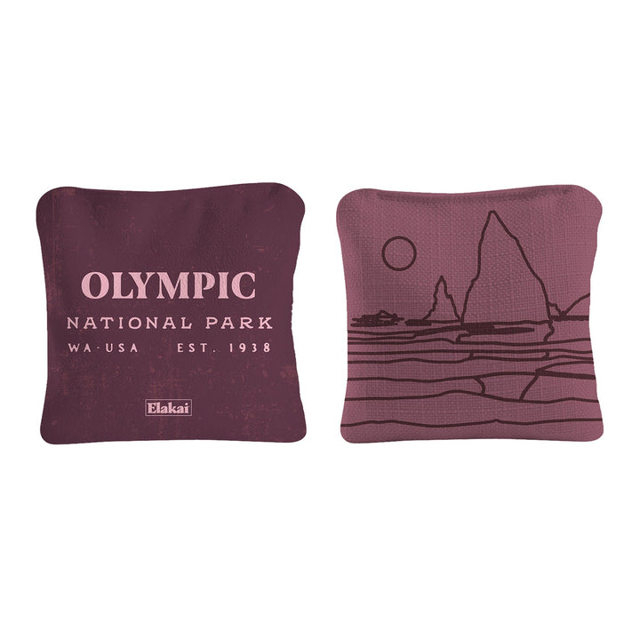 6-in Dual-Sided Cornhole Bags | National Parks Collection
