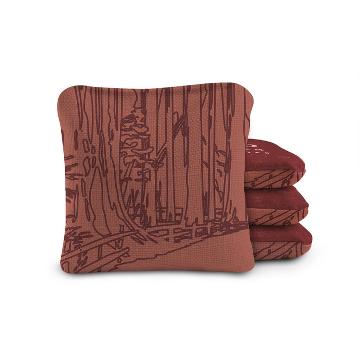 6-in Dual-Sided Cornhole Bags | National Parks Collection
