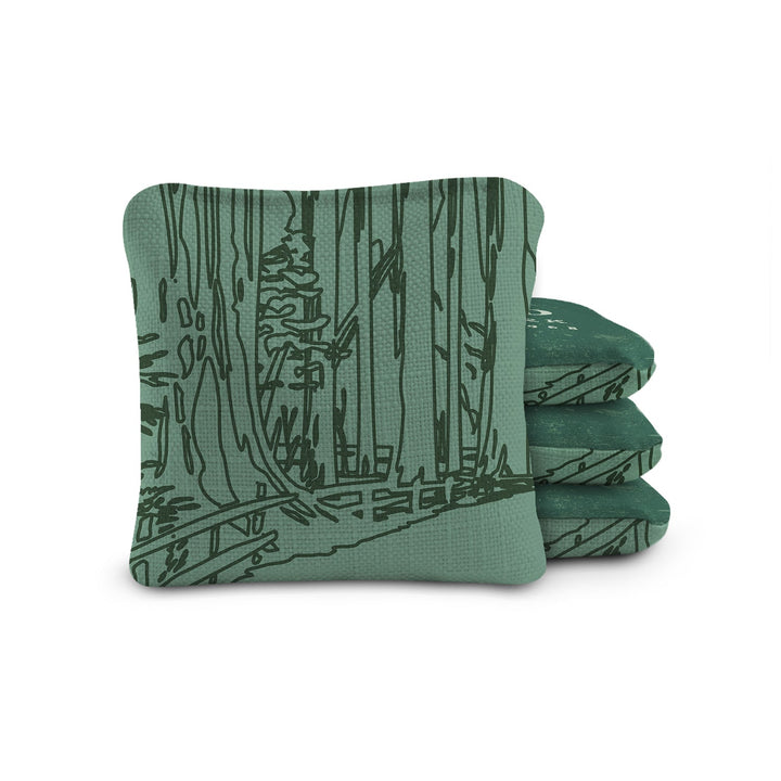 6-in Dual-Sided Cornhole Bags | National Parks Collection