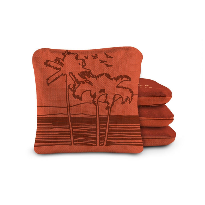 6-in Dual-Sided Cornhole Bags | National Parks Collection
