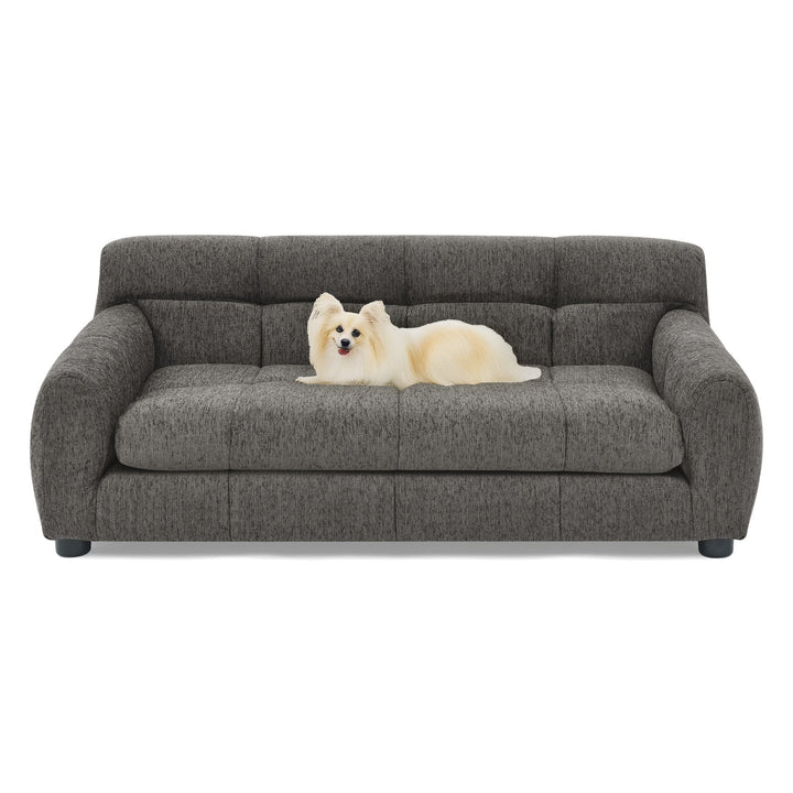 Modern Dark Gray Pet Sofa with Backrest and Armrests