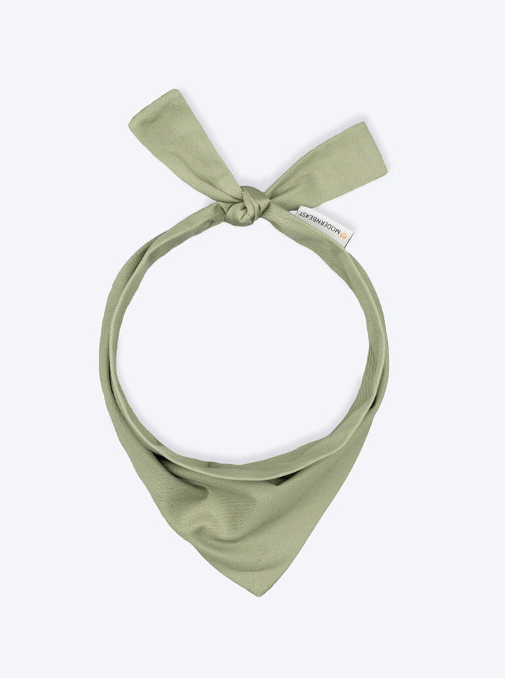 Dog Adventure Bandanas for Every Journey