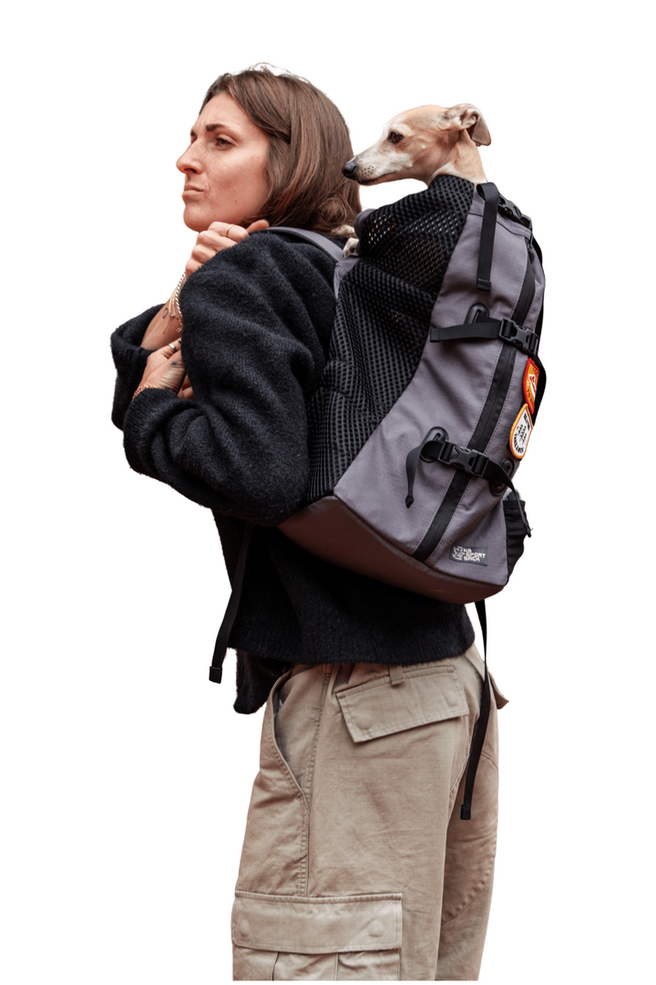 K9 Sport Sack Air 2 | The Original Backpack Dog Carrier