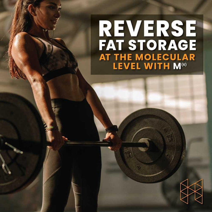 M 6 Metabolism Optimization Supplement for Weight Loss