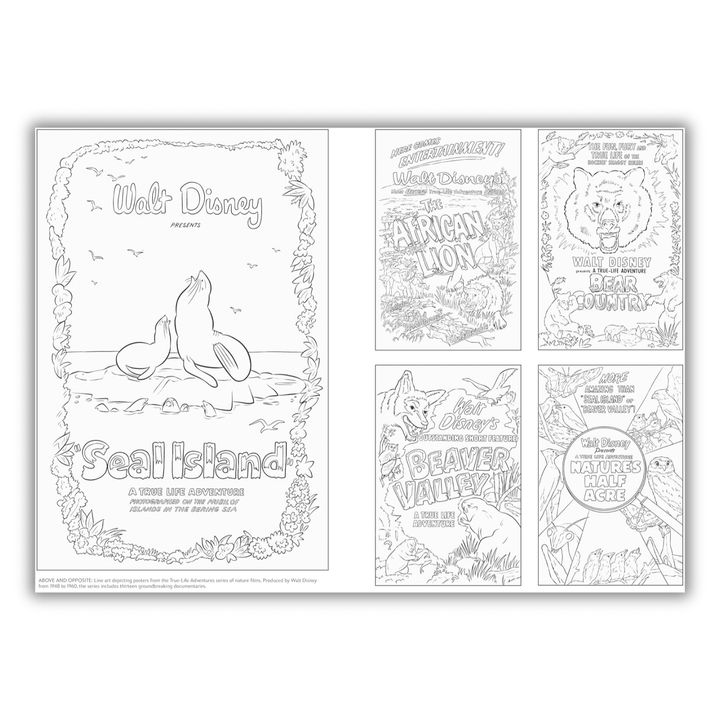 Art of Coloring: Disney 100 Years of Wonder: 100 Images to Inspire Creativity Spiral-bound