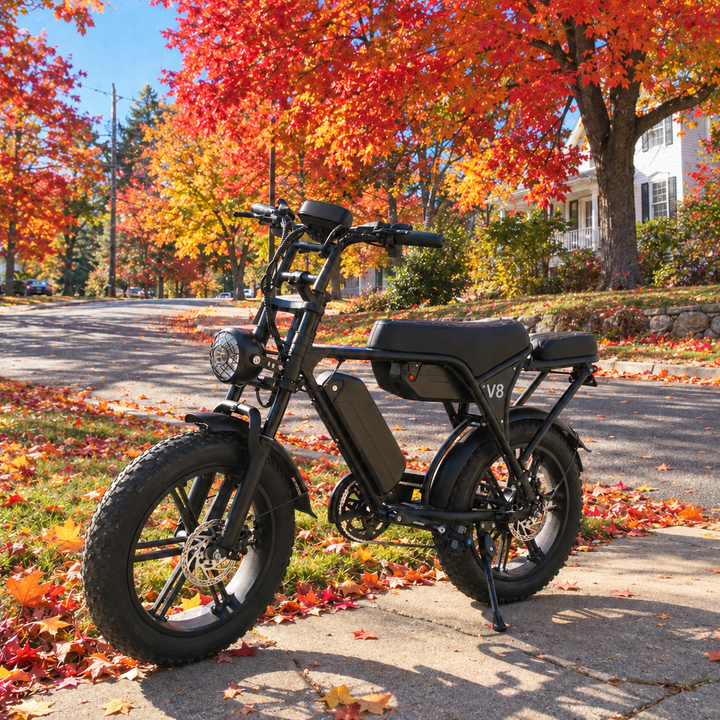 V8 Fat Tire Electric Bike