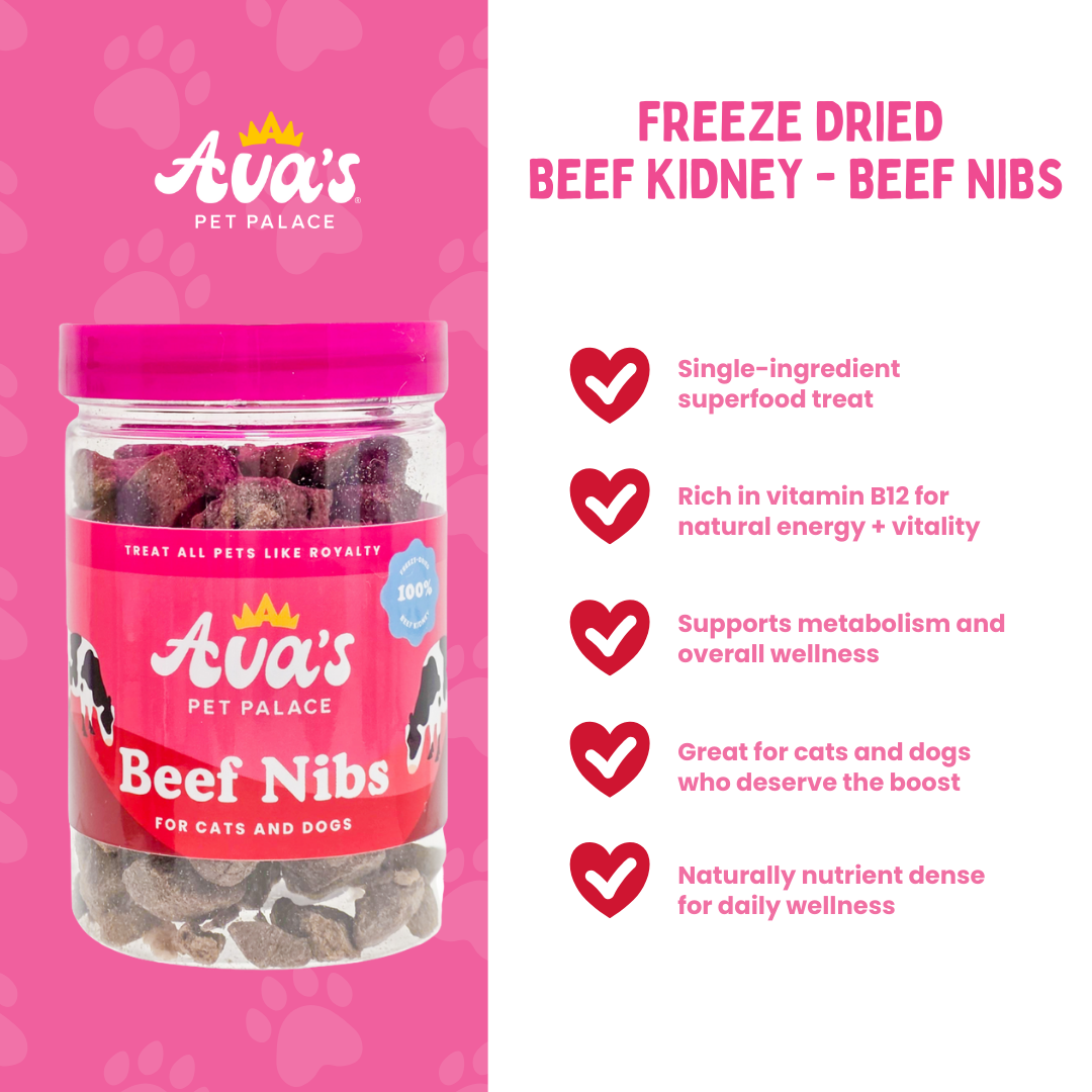 Freeze Dried Beef Kidney - Beef Nibs