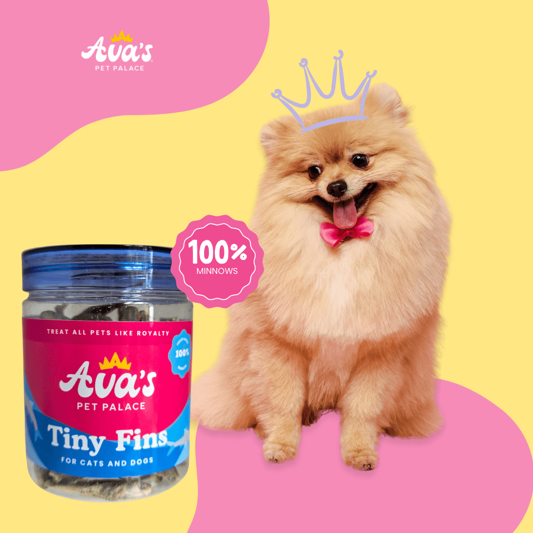 Freeze Dried Minnows - Tiny Fins