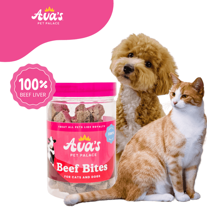 Freeze Dried Beef Liver Treats for Pets