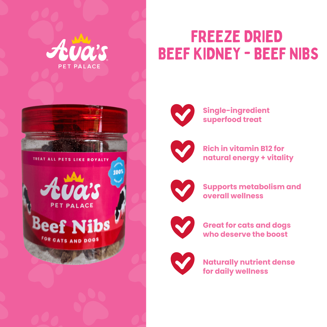Freeze Dried Beef Kidney - Beef Nibs