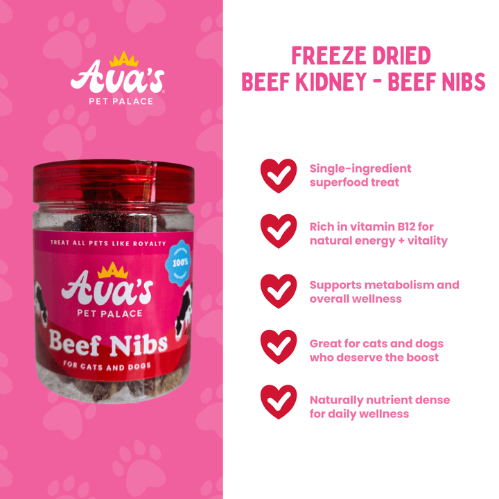 Freeze Dried Beef Kidney - Beef Nibs