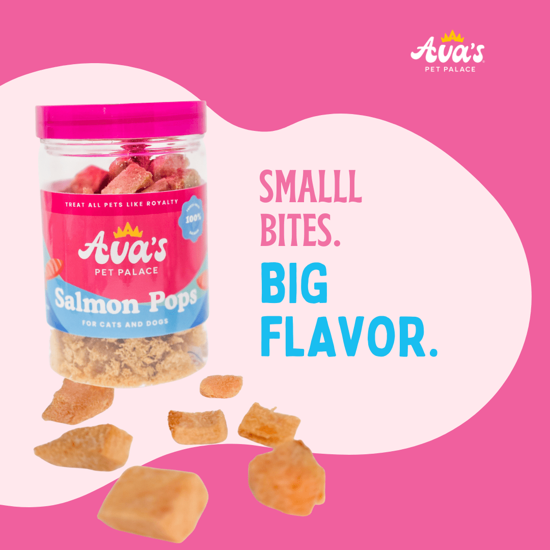 Freeze Dried Salmon Treats - Salmon Pops