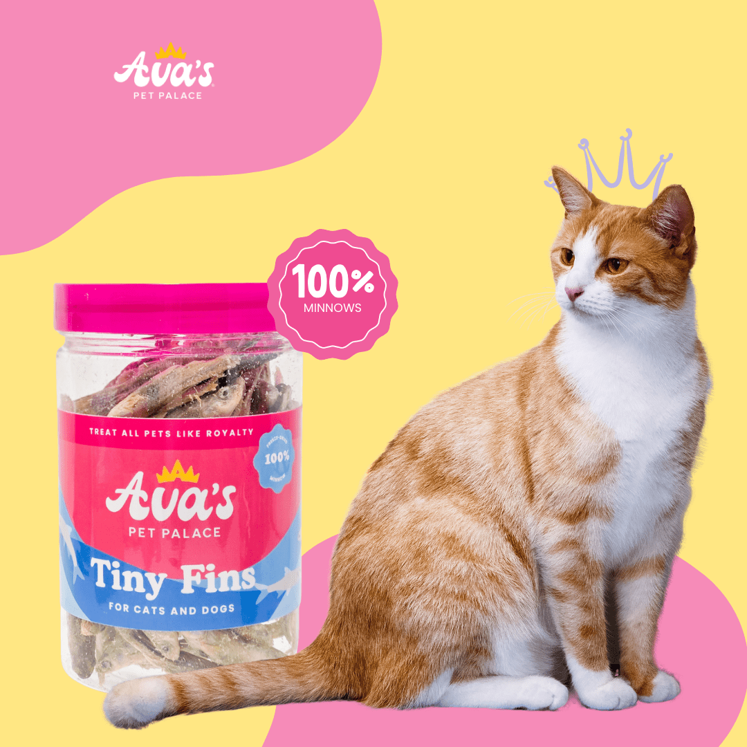 Freeze Dried Minnow Treats for Pets - Tiny Fins