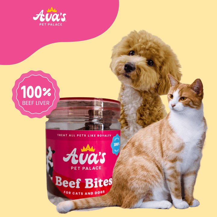 Freeze Dried Beef Liver - Beef Bites