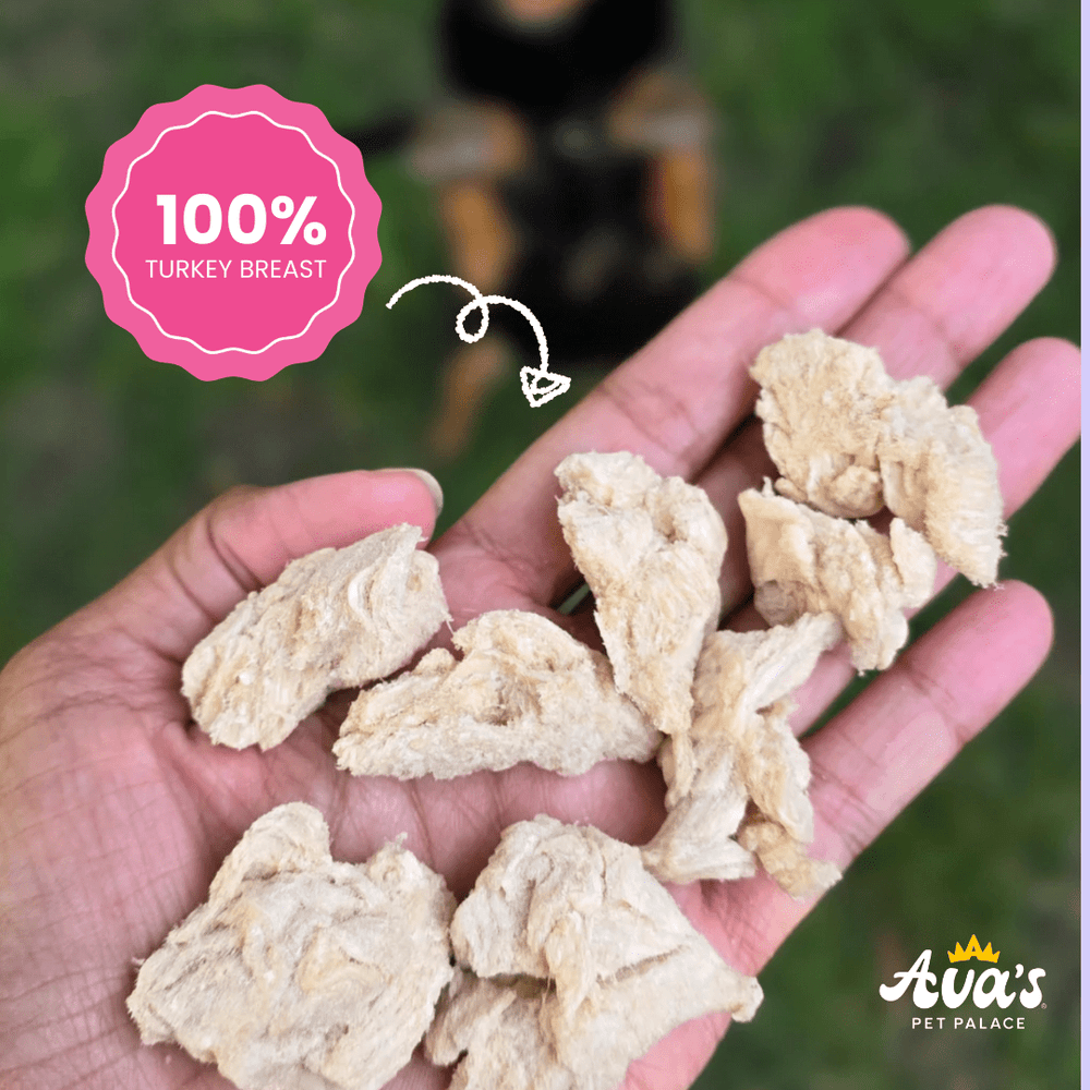 Freeze Dried T-Day Bites - Turkey Breast