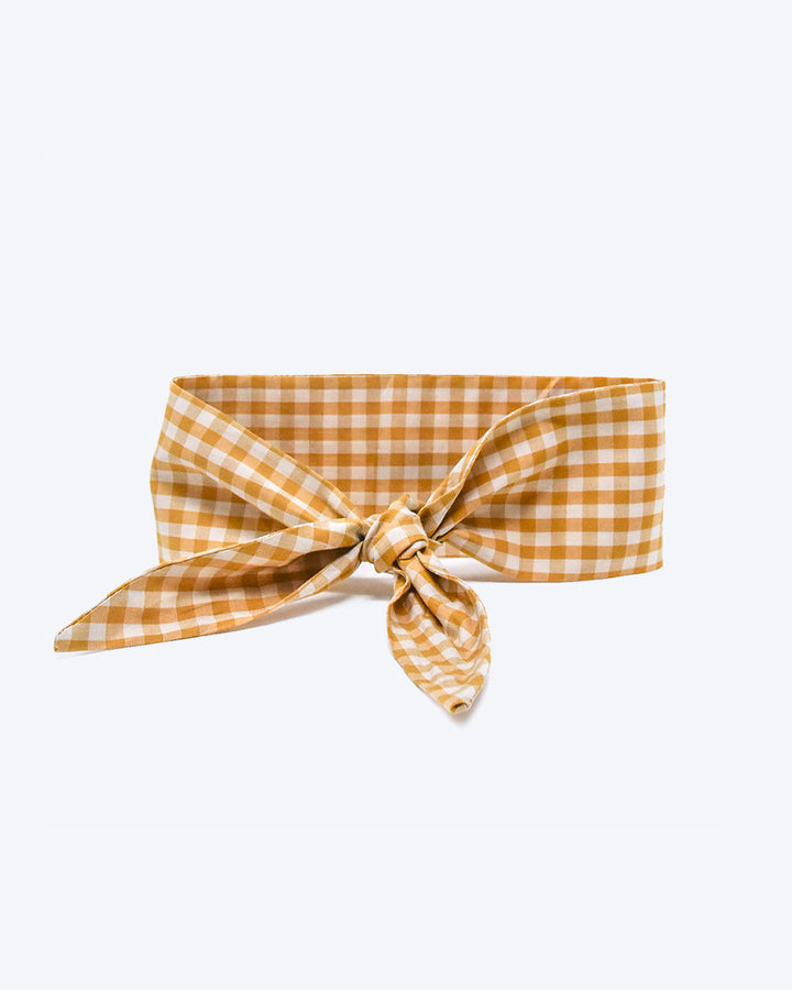 Adventure Necktie for Dogs and Pets - Unique Design