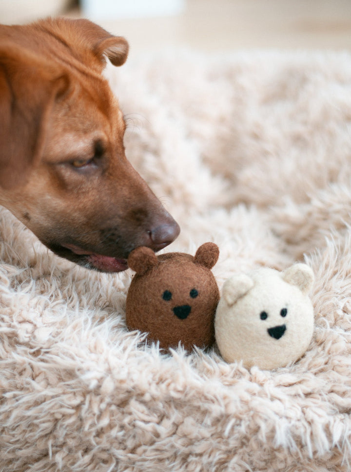 BROWN BEAR WOOL DOG TOY