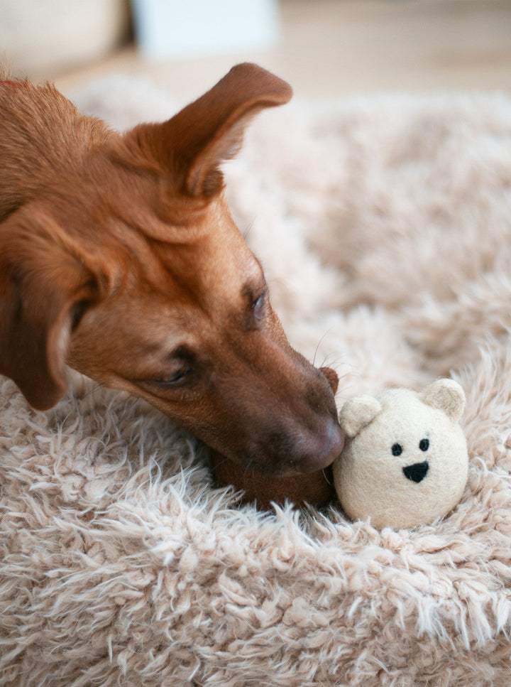 Natural Polar Bear Wool Dog Toy for Small Pups
