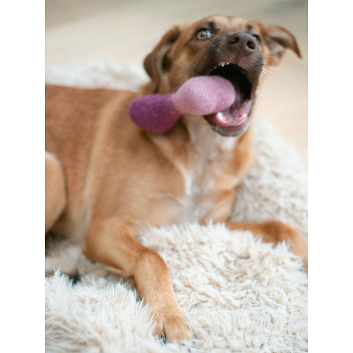 OMBRE WOOLBONE