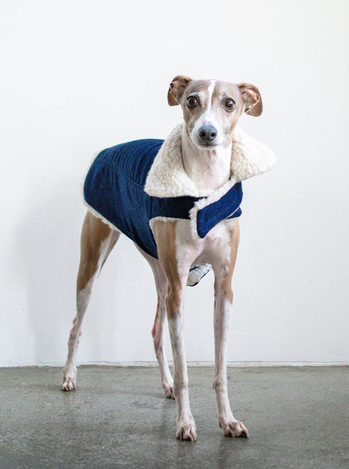 Stylish Corduroy Dog Coat for Fall Comfort