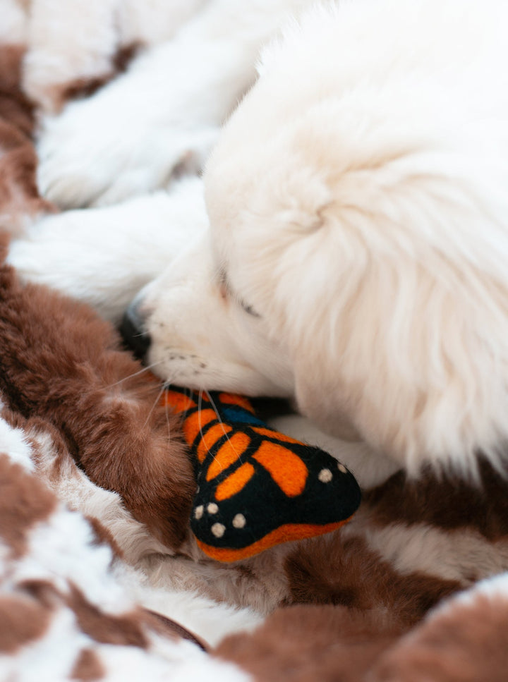 MONARCH BUTTERFLY WOOLBONE