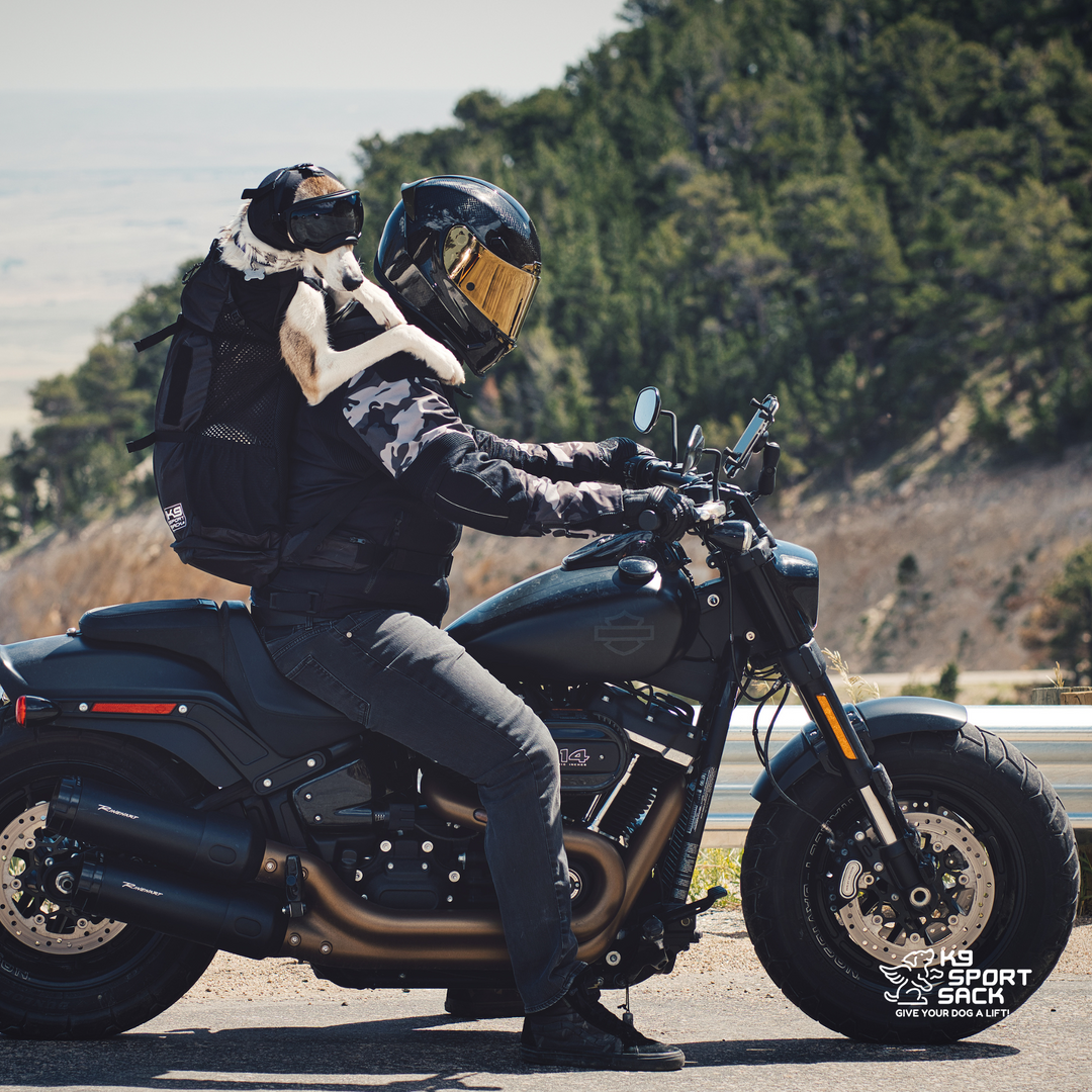 K9 Sport Sack Knavigate | Advanced Dog Carrier with Internal Frame & Hip Belt