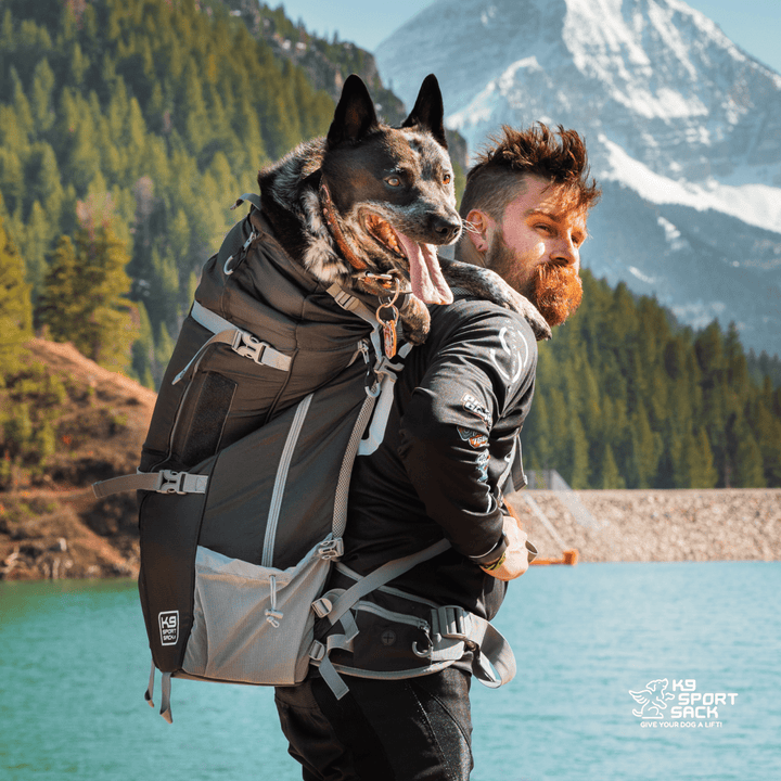K9 Sport Sack Kolossus | Big Dog Carrier & Backpacking Pack