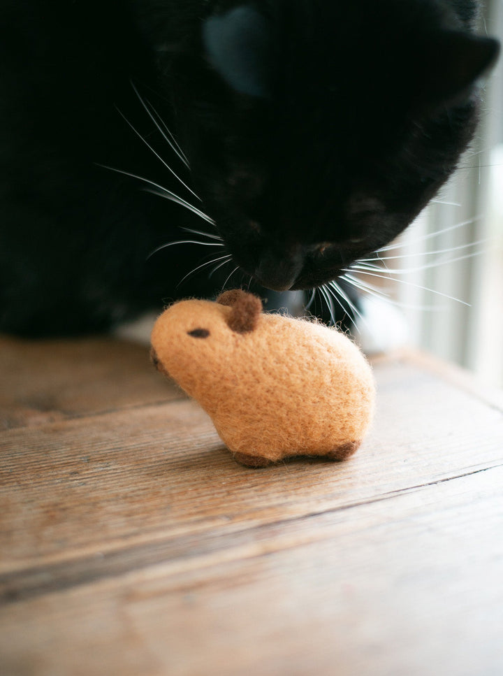 Capybara Wool Dog Toy for Fun & Eco-Friendly Play