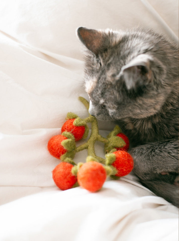 Cherry Tomato Vine Wool Dog & Cat Toy for Play