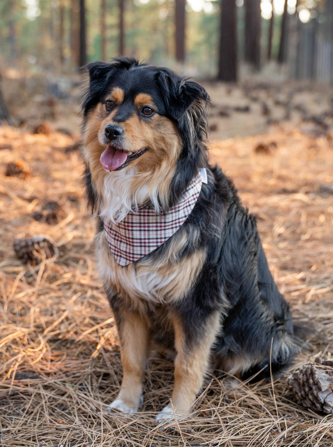 Holiday Plaid Dog Bandana for Stylish Pets