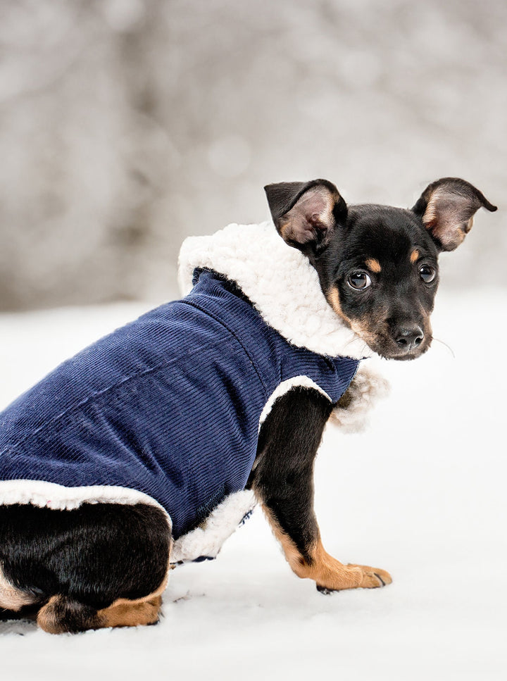 Stylish Corduroy Dog Coat for Fall Comfort