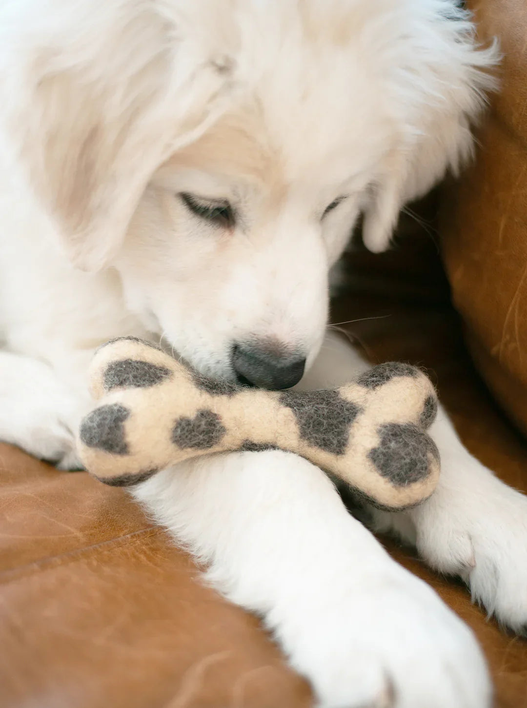 Wool Bone Dog Toy by MODERNBEAST and House of Sploot