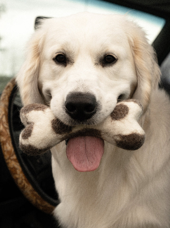 Wool Bone Dog Toy by MODERNBEAST and House of Sploot