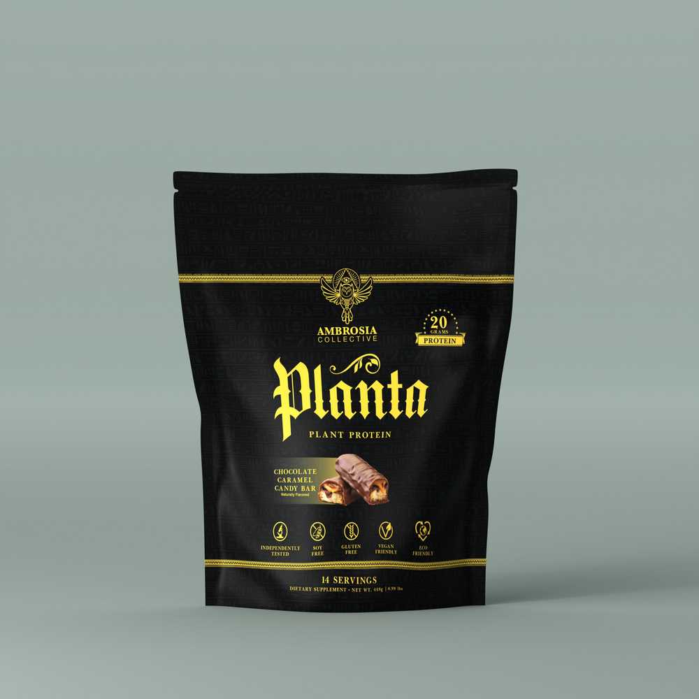 Planta® - Vegan Plant Protein Powder 14 Servings