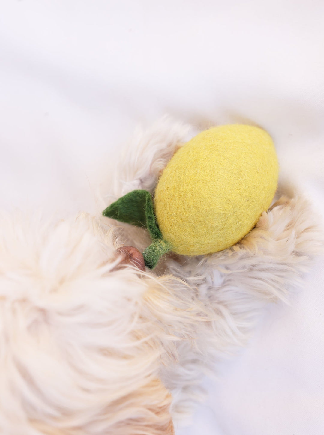 Wool Dog and Cat Toy - Lemon Shape Set of 2
